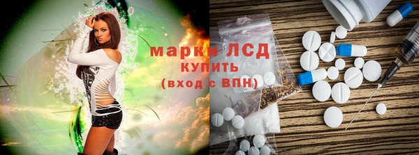 стаф Алзамай